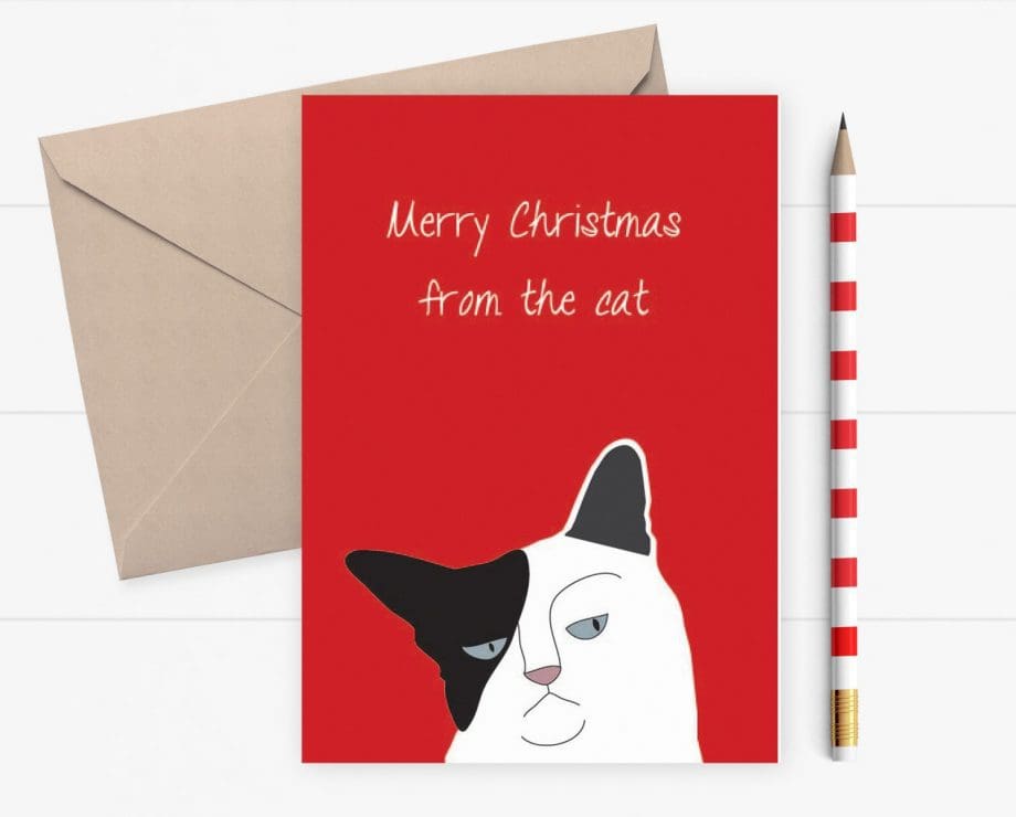 Christmas Card from the Cat - Grumpy cat card