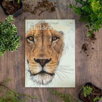 Hidden Planet - Illustrated Wildlife Book