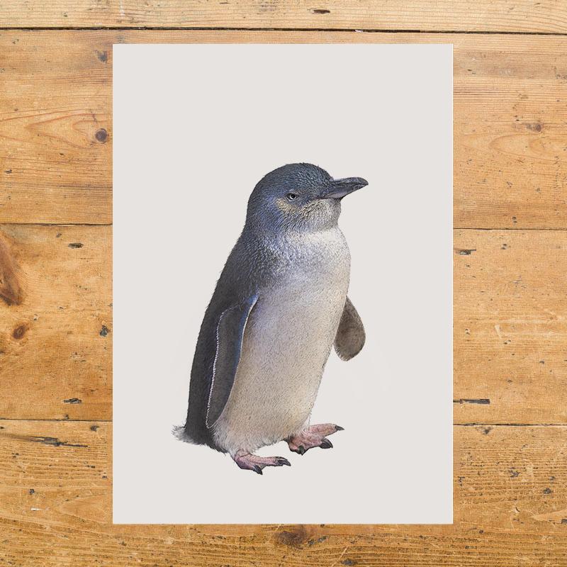 Little Penguin - A4 Print – Urban Makers