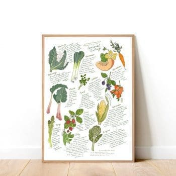 seasonal produce print
