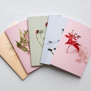 Colourful Botanical Greetings Cards - Set of 5