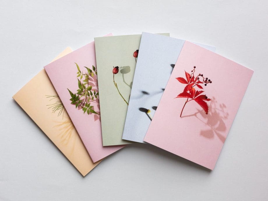 Colourful Botanical Greetings Cards - Set of 5