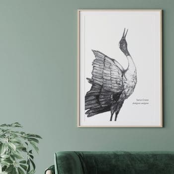 Sarus Crane Print - From The BirdLife Collection