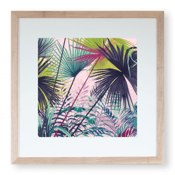 Palms Series No.1 Fine Art Print