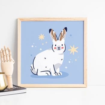 Arctic Hare Art Print
