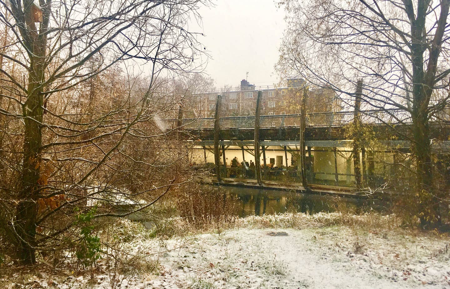 Ecology Pavilion Mile end park - in the snow