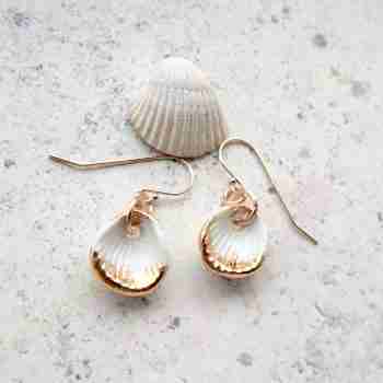 White and gold seashells, 14k gold earrings