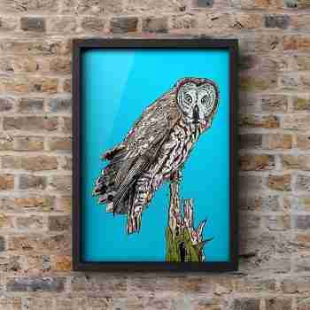 Great Grey Owl - Portrait Art Print by Pierce Braysher Illustration unmounted frame on brick wall