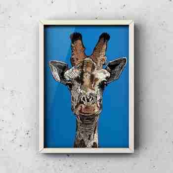 The Colourful Giant - Giraffe Portrait Art Print by Pierce Braysher Illustration - White Frame on a White Concrete Wall