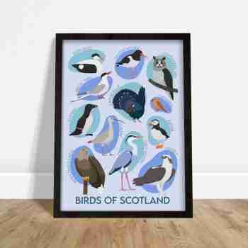 Birds of Scotland Giclee Art Print